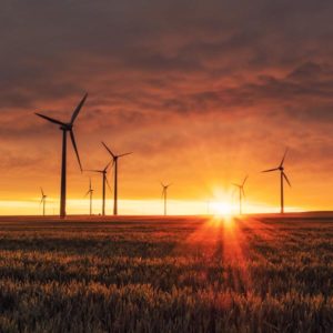 Windenergie voor de landbouw | Turific Duurzaam